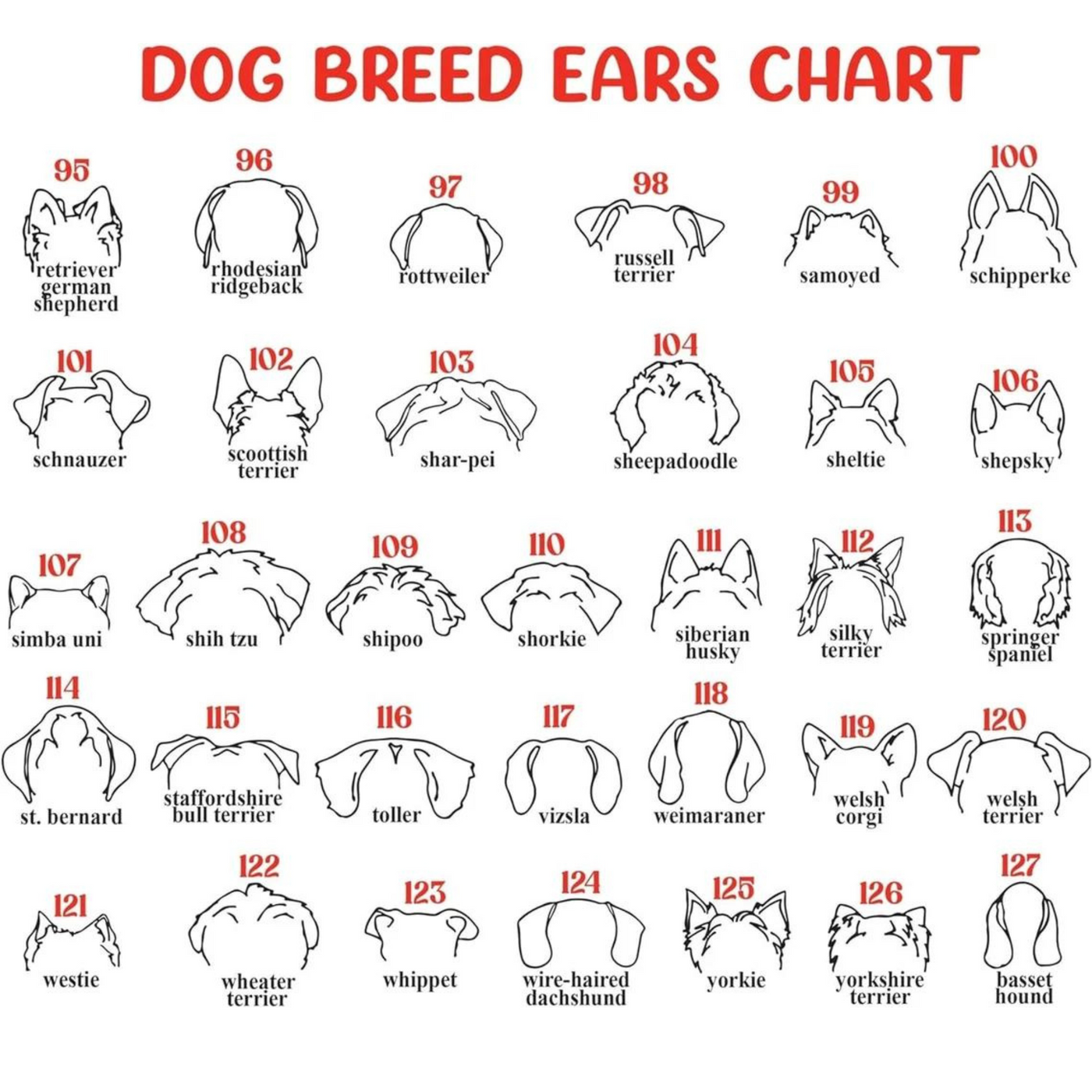 Dog Memorial Frame with Collar Holder