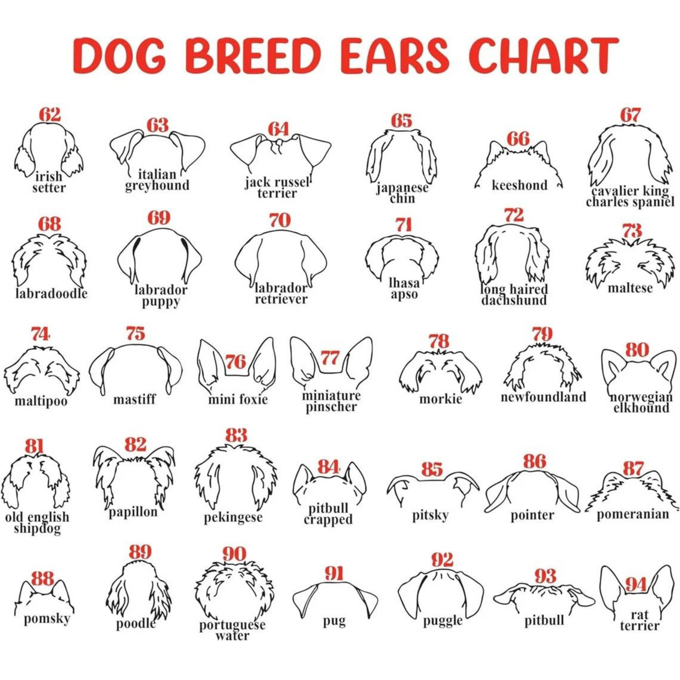 Dog Memorial Frame with Collar Holder