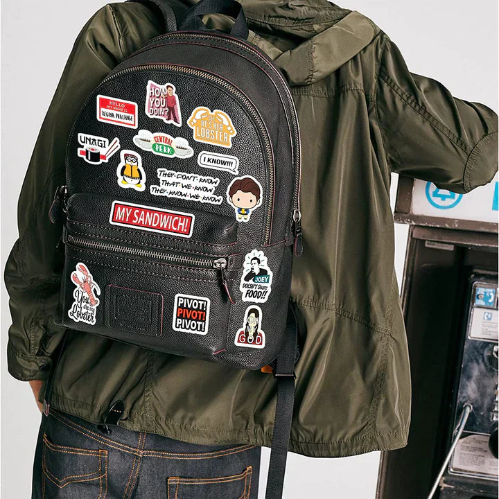 Friends Tv Series - Set Of 5 Vinyl Sticker Sheets