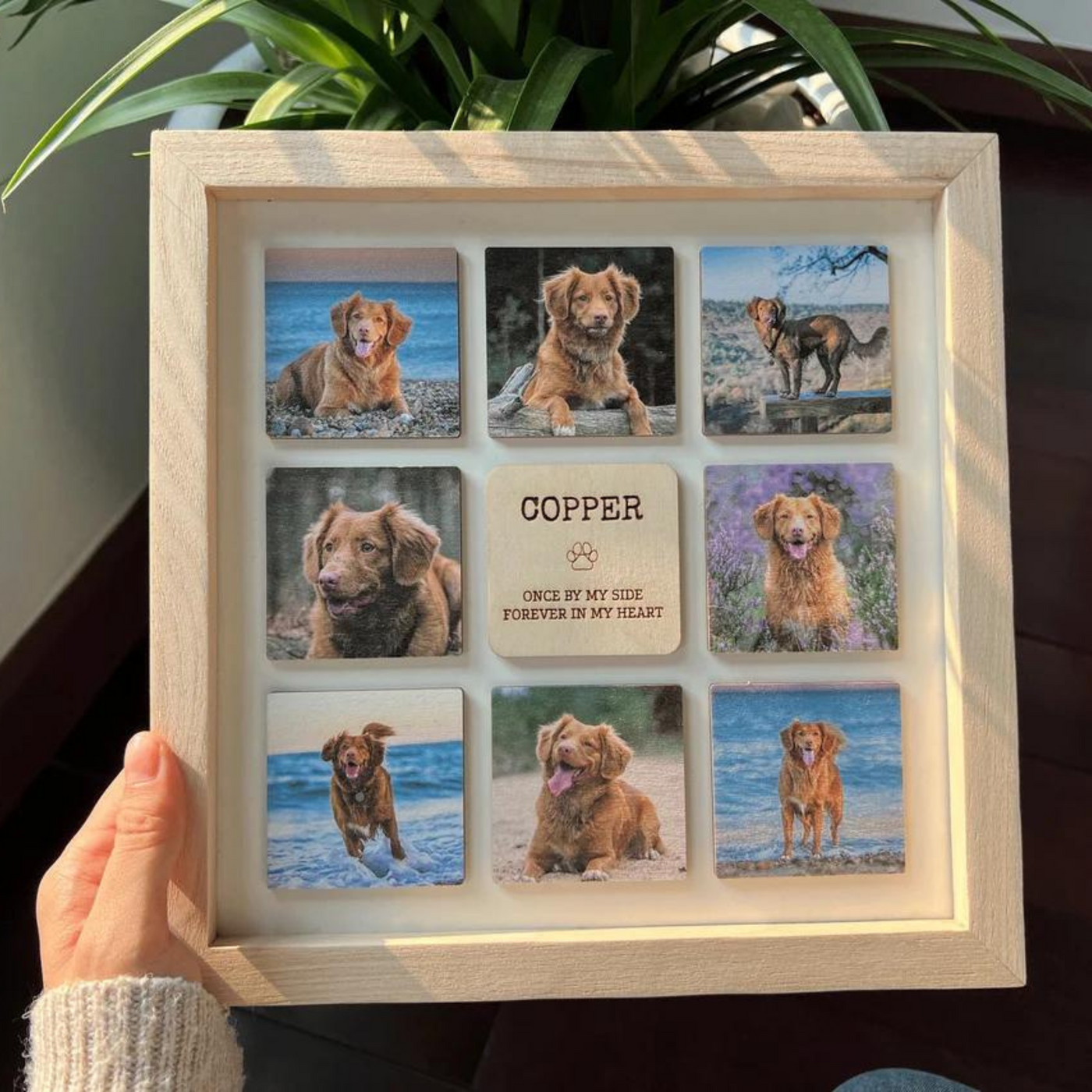 Personalized Pet Memorial  Wooden Frame